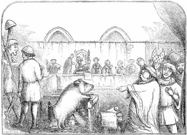 Illustration, die eine Sau und ihre Ferkel zeigt, die wegen des Mordes an einem Kind vor Gericht stehen. Der Prozess soll im Jahr 1457 stattgefunden haben. Die Mutter wurde für schuldig befunden, die Ferkel wurden freigesprochen.