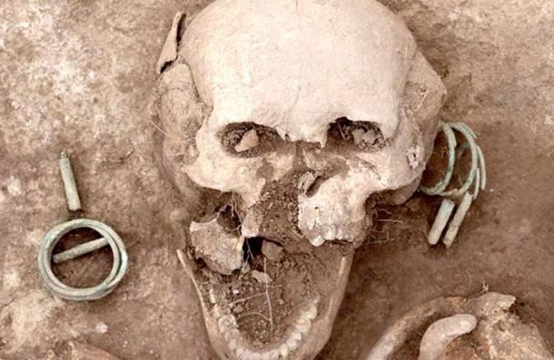 Die elitäre Karasuk-Frau wurde als sibirische Herrin der Ringe bezeichnet. Diese Nahaufnahme ihres Schädels zeigt die großen Ohrringe, die zu ihrem Grabschmuck gehörten
