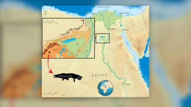 Eine Karte der Fayum-Senke in Ägypten, wo Paläontologen das Fossil eines vierbeinigen Wals fanden.