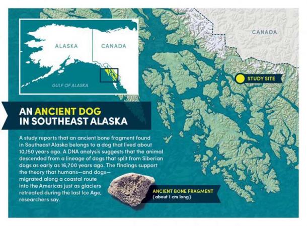 Das uralte Hundeknochenfragment und eine Karte des Untersuchungsgebietes