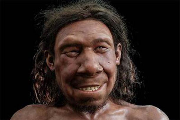 Das rekonstruierte Gesicht von Krijn, dem Neandertaler aus Doggerland