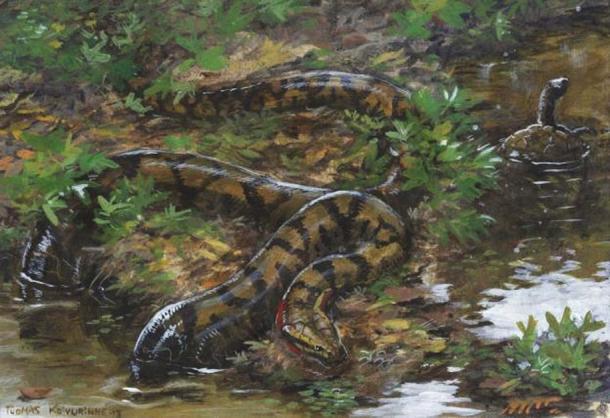 Künstlerische Darstellung von Titanoboa