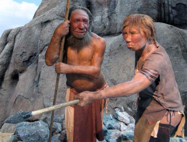 Männliche und weibliche Homo neanderthalensis im Neandertal Museum, Mettmann, Deutschland.