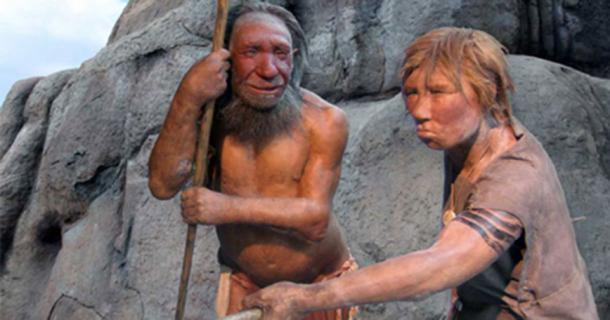 Männlicher und weiblicher Homo neanderthalensis im Neanderthal Museum, Mettmann, Deutschland.