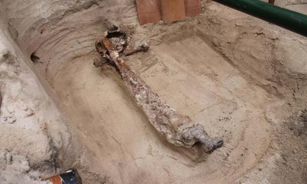 Das Mayback-Grab wurde in Blöcken aus dem Boden gehoben, um es unter Laborbedingungen weiter zu untersuchen, einschließlich des Skeletts und des Wikingerschwerts. 