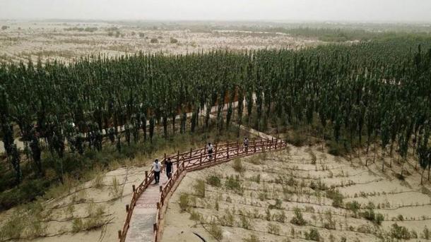 Menschen gehen über eine Brücke in den künstlich angelegten Wäldern in Kashgar, China, die angeblich die Trockenheit verstärken, wenn nicht einheimische Bäume verwendet werden