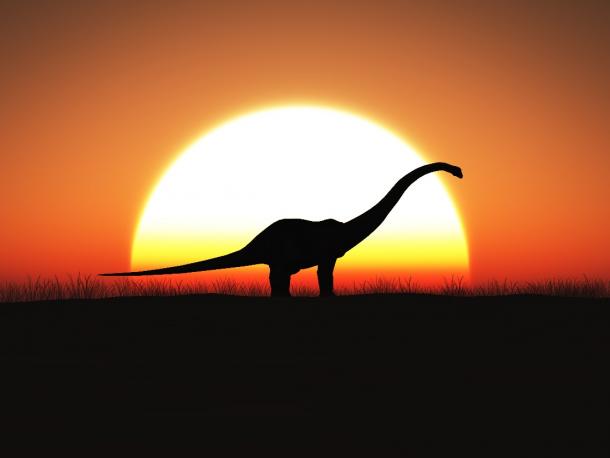 Ist Mokele-Mbembe da draußen?