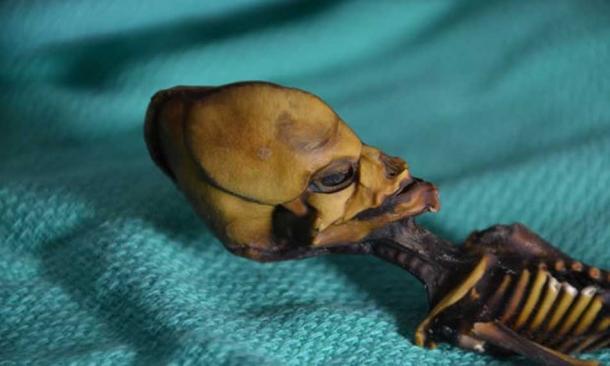 Das mumifizierte Skelett eines Mädchens, das 2003 in der chilenischen Wüste gefunden wurde.