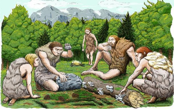 Eine künstlerische Darstellung der Neandertaler von El Sidron, die wahrscheinlich einen Großteil ihrer Nahrung sammelten, anstatt Großwild zu jagen.