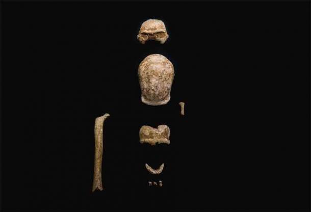 So viele Neandertalerknochen an einem Ort zu finden, „ist sehr selten“, sagte der für die Ausgrabung zuständige Archäologe des italienischen Kulturministeriums.