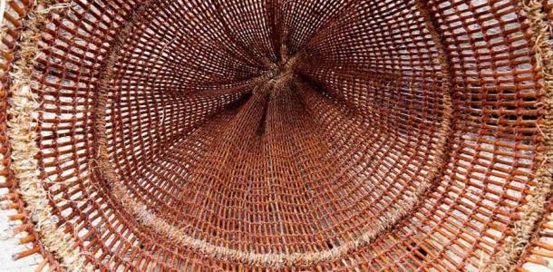 Netze und Fallen zum Fangen von Kleintieren waren etwas, worin die Neandertaler nicht sehr gut waren, aber der Homo sapiens andererseits fand das heraus und überlebte