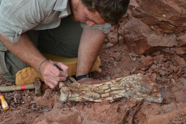 Ein Paläontologe bei der Ausgrabung von Knochen und Fossilien einer neu entdeckten Art von Flugsauriern, Thanatosdrakon amaru, in Aguada del Padrillo, Mendoza, Argentinien