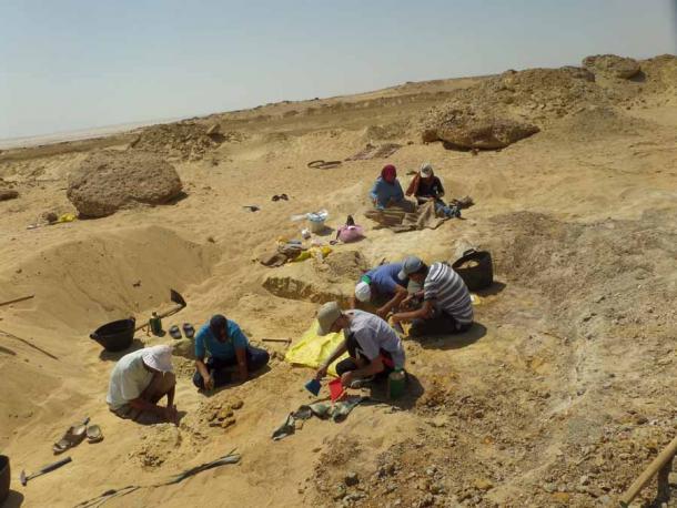 Paläontologen bei der Arbeit in der Fayum-Senke in Ägypten, wo sie das vierbeinige Walfossil fanden.