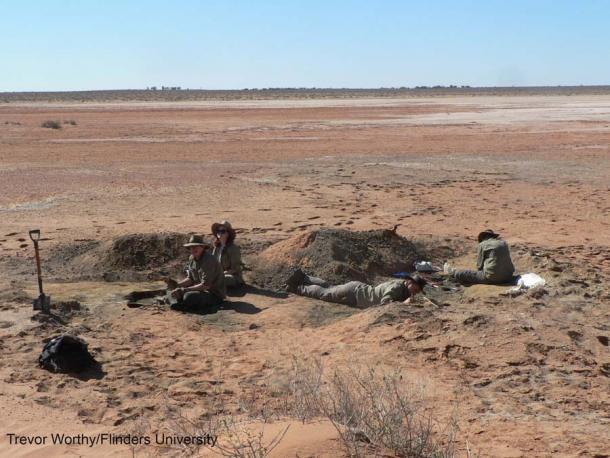 Paläontologen der Flinders University graben Fossilien in der Nähe des Pinpa-Sees in Südaustralien aus. Von links nach rechts: Aaron Camens, Amy Tschirn, Jacob Blokland und Kailah Thorn.