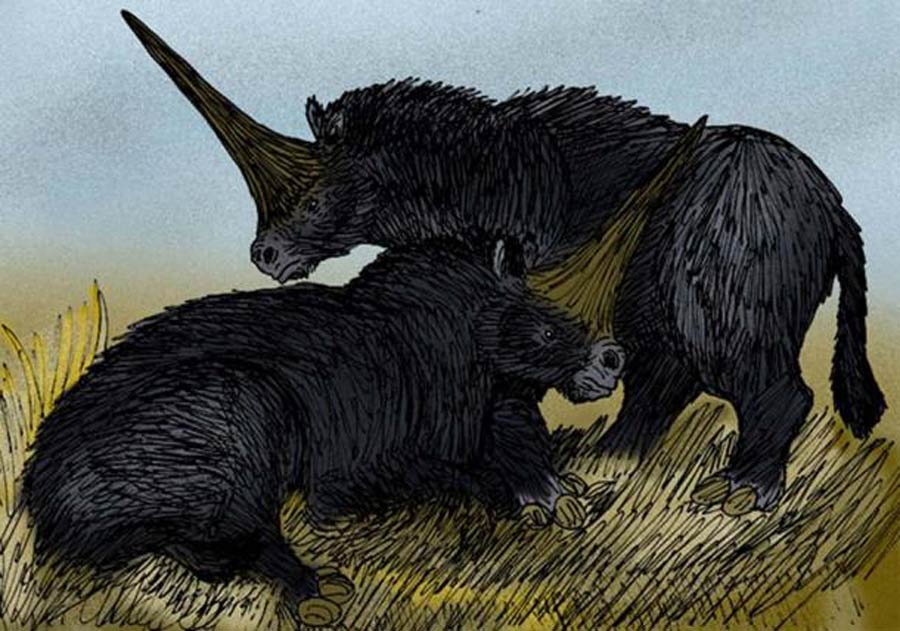 Eine Interpretation des "Riesen-Einhorn"-Nashorns, Elasmotherium sibiricus von Pleistozän Sibirien.