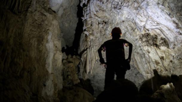 Der Rückgang der Fruchtbarkeit vollzog sich über einen längeren Zeitraum und führte laut der Studie zum Aussterben der Neandertaler.
