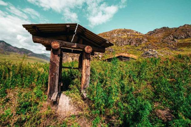 Ein hölzerner Schachtbrunnen im sibirischen Altaigebirge, umgeben von wilden Cannabis- und Flohsamengräsern. Frühe Verwendungen von Cannabis haben in der Vergangenheit auf Sibirien hingewiesen. Die jüngste globale genetische Studie zeigt jedoch, dass die Domestizierung von Cannabis im Nordwesten Chinas vor etwa 12.000 Jahren begann.