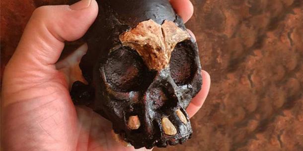 Der Schädel des Homo-Naledi-Kindes namens Leti wurde in den untersten Ebenen des südafrikanischen Rising-Star-Höhlensystems gefunden
