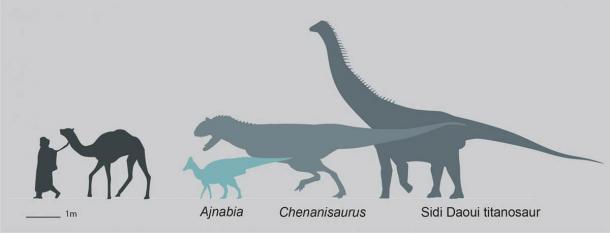 Silhouette, die die Größe von Ajnabia odysseus im Vergleich zum Menschen und der zeitgenössischen maastrichtischen Dinosaurierfauna Marokkos zeigt.
