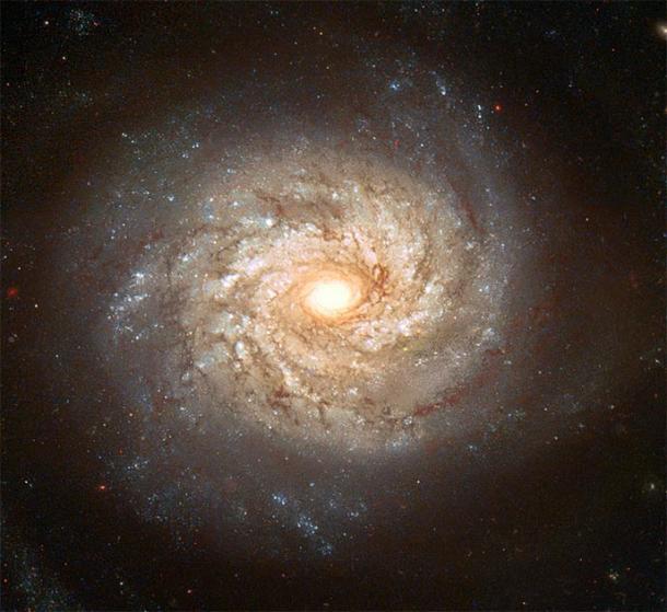 Die Spiralgalaxie NGC 3982 zeigt zahlreiche Spiralarme mit hellen Sternen, blauen Sternhaufen und dunklen Staubbahnen.