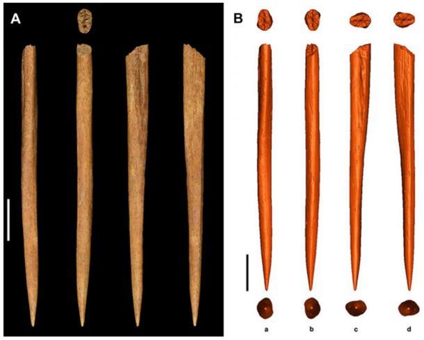 Die Stajnia-Ahle aus einem Pferdeknochen wurde ebenfalls in der polnischen Höhle gefunden, in der der Elfenbeinanhänger entdeckt wurde. (A) Originalbild des Pfriems aus der Stajnia-Höhle; (B) Rekonstruierte digitale 3D-Modelle des Pfriems. Skalenbalken sind 1 cm (0,4 Zoll).