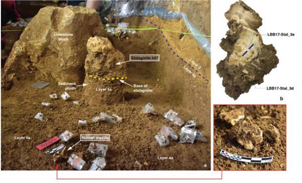 Stalagmit 437 in situ im ausgehobenen Graben - während der Ausgrabung wurde der Stalagmit auf einem Sockel aus nicht ausgehobenen Sedimenten der Schicht 4a belassen, mit (unten rechts) Fragmenten eines menschlichen Oberkiefers (Kieferknochen) (Maros-LBB-1a) in situ in Schicht 4a unterhalb der Basis von Stalagmit 437