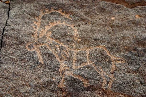 Eine antike saudische Felskunst (Petroglyphe) in Bir Hima, die einen Steinbock darstellt