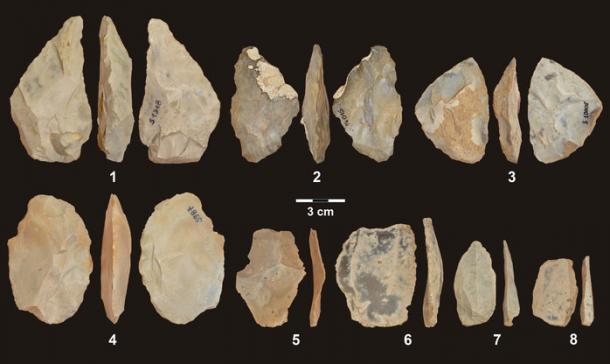 Steinwerkzeuge aus der Stajnia-Höhle in Polen.
