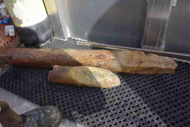 Zwei der Stelzenholzstämme, die von Taucharchäologen am Fuße des Vierwaldstättersees gefunden wurden. 