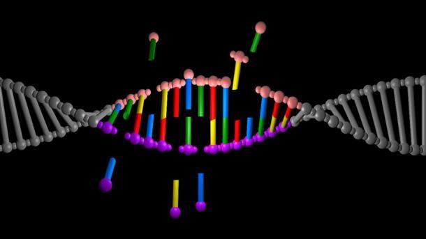 Die neue Studie der Universität von Kalifornien, Davis, verwendet genetische Rekonstruktionstechniken, um zu ihren Erkenntnissen über die Denisovaner des tibetischen Plateaus zu gelangen. 