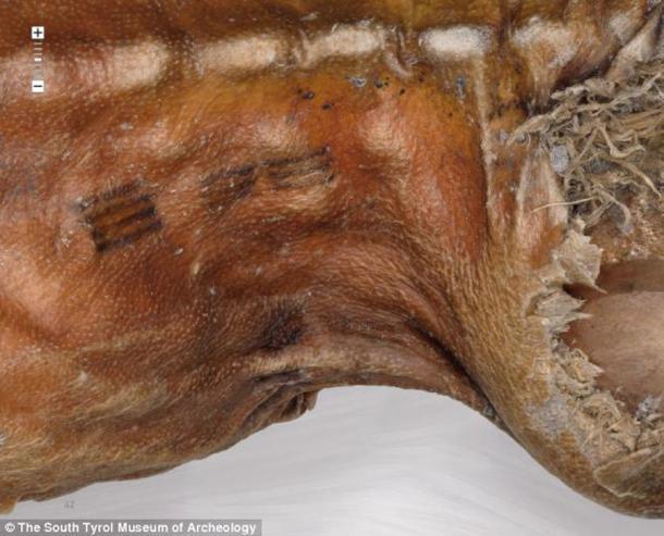 Tätowierungen, die auf dem Körper von Ötzi gefunden wurden. 