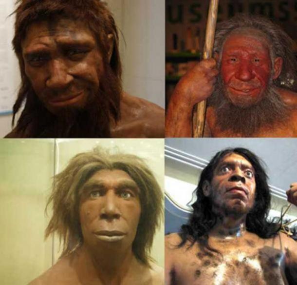 The homme de Spy ("Man from Spy") (boris doesborg/ CC BY NC SA 2.0 ) und andere stereotype Rekonstruktionen dessen, wie Neandertaler ausgesehen haben mögen: im Neandertal Museum in Mettmann, Deutschland (Stefan Scheer/Stefanie Krull/ CC BY SA 3.0 ), im Museum für Naturkunde, Berlin, Deutschland ( כ.א ל ו ן/CC BY SA 3.0 ) und im Paläolithischen Museum Zagros, Kermanshah (Rawansari/ CC BY SA 3.0)