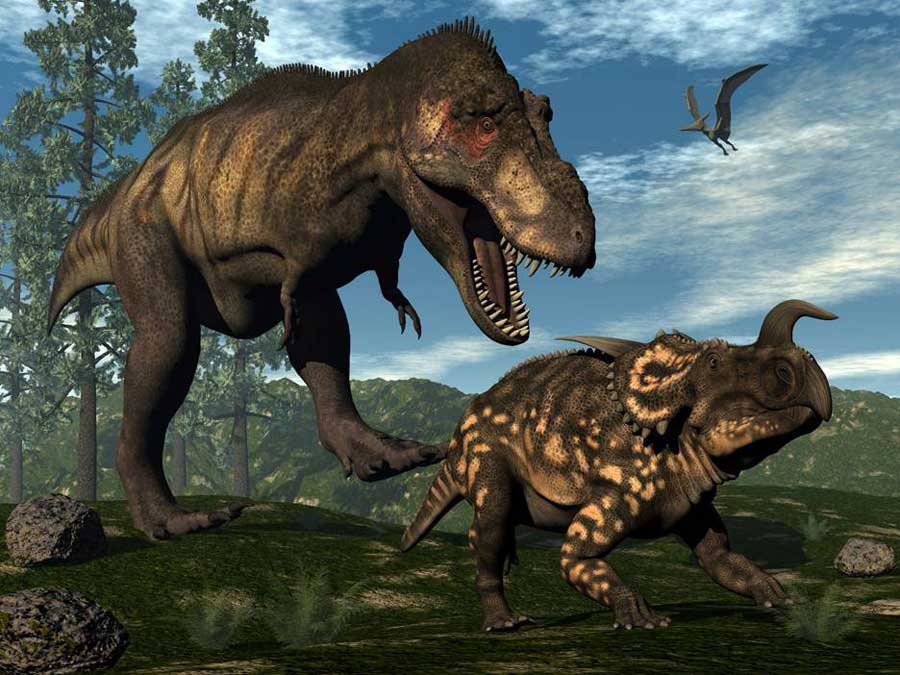 Tyrannosaurus rex greift einen Einiosaurus an.