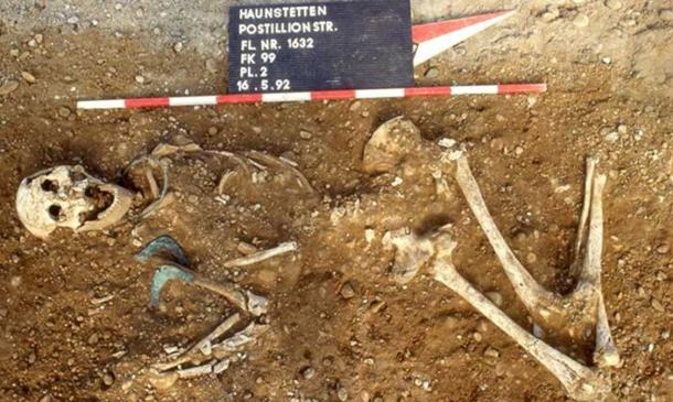 Vor 4000 Jahren reisten europäische Frauen weit weg von ihren Heimatdörfern, um ihre Familien zu gründen und brachten so neue Kulturgüter und Ideen mit.