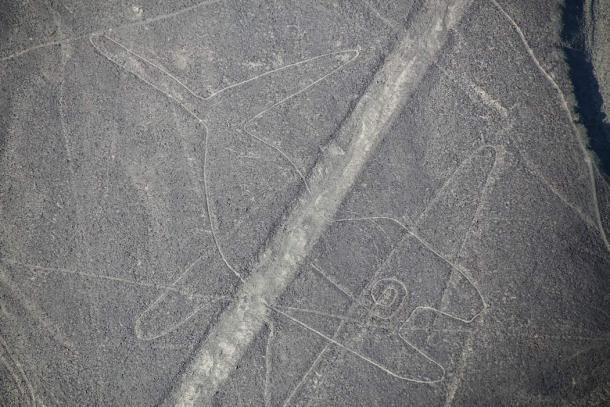 Luftaufnahme der Nazca-Linien - Wal-Geoglyphe, Peru.