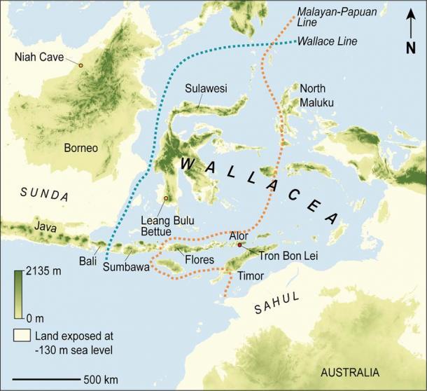 Karte von Wallacea mit der Lage von Sulawesi und Leang Bulu Bettue, wo die versteinerten menschlichen Überreste gefunden wurden.