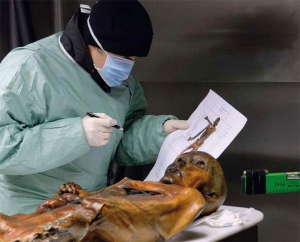 Wissenschaftliche Untersuchung der Ötzi-Mumie