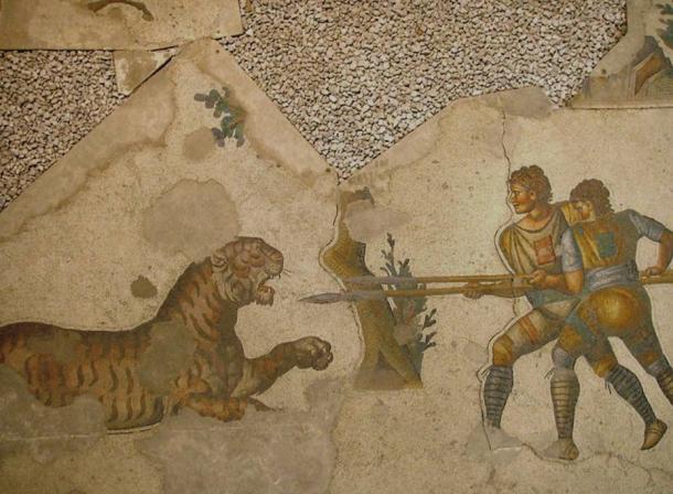Zwei Venatores (diejenigen, die bei Tierjagden in der Arena Karriere machten) kämpfen gegen einen Tiger. Bodenmosaik im Großen Palast von Konstantinopel (Istanbul), 5. Jahrhundert. 