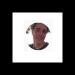 Bild des Benutzers Caleb Strom