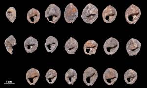 Älteste Schmuckstücke der Welt jetzt marokkanische aterische Perlen