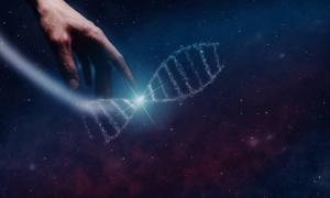 Es gibt viele Geheimnisse und Widersprüche in unserer Evolutionsgeschichte, die noch nicht enträtselt sind.