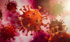 Antike Coronavirus-Beweise in asiatischer DNA gefunden