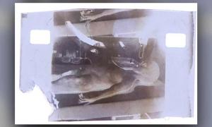 Bild des Alien-Autopsie-Films zur Versteigerung als NFT