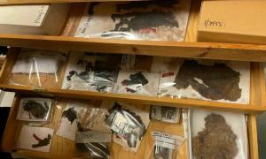 Verschollene norwegische Wikingerdorf-Artefakte neu untersucht