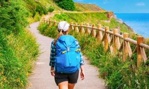 Der Heilpfad des Camino de Santiago