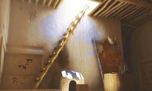 8.500 Jahre alte Çatalhöyük-Leiter beweist Theorie