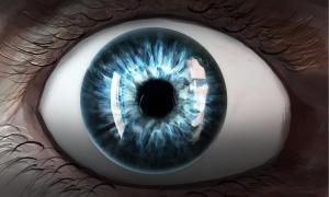 Chroniken aus der Zukunft: Die einzigartige Geschichte von Paul Amadeus Dienach