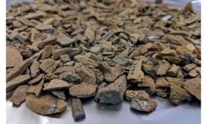 Älteste Denisovaner-Fossilien in Sibirien gefunden!