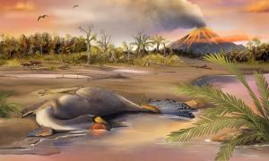 Wissenschaftler in China haben möglicherweise 125 Millionen Jahre alte Dinosaurier-DNA gefunden