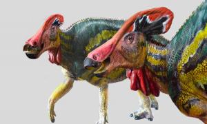Dinosaurier in Mexiko ist eine neue „sprechende“ Spezies